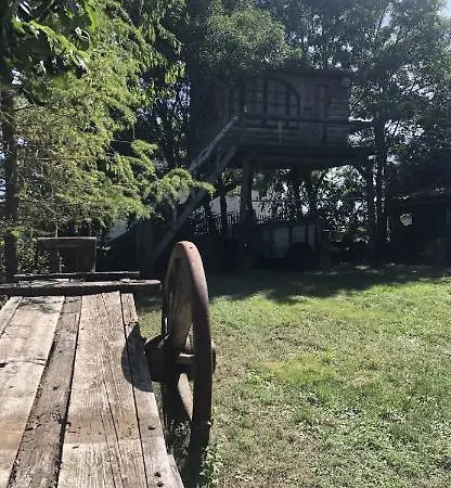 Cabane Dans Les Arbres 7metres De Hauteur *