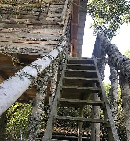 Cabane Dans Les Arbres 7metres De Hauteur Campsite *